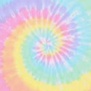 Meet your Posher, Ava